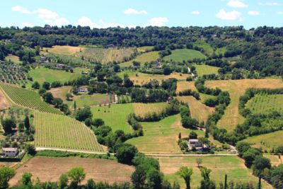 orvieto orvieto