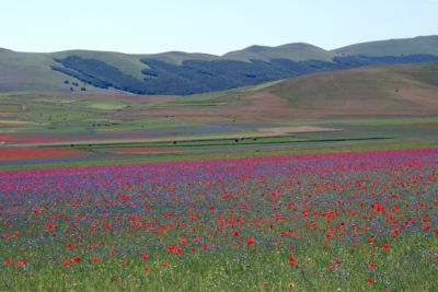 umbria umbria